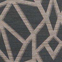 Dhani Geo Cyberspace