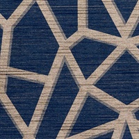 Dhani Geo Lake Charles