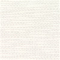 Dimensions Irridescent