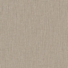 DN-VS5-19 Commercial Wallcovering