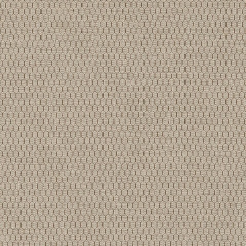 DN-VS5-20 Commercial Wallcovering