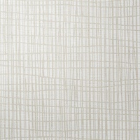 Dont Cross Me Champagne Dream Modern Crosshatch