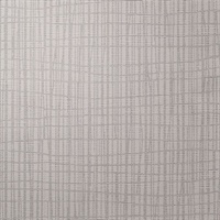 Dont Cross Me Slice of Silver Modern Crosshatch