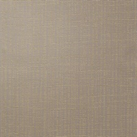 Dont Cross Me Wink of Gold Modern Crosshatch