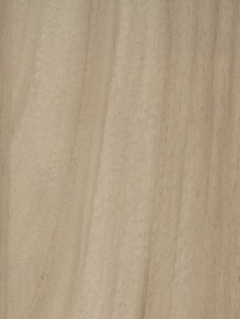 Door Skins Nomad Ibory