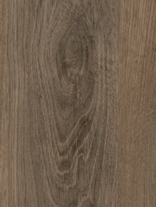 Door Skins Palomino Oak