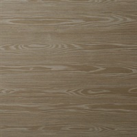 Douglas Koto Wall Protection