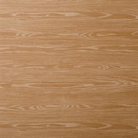 Douglas Pine Wall Protection