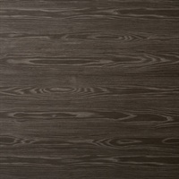 Douglas Sycamore Wall Protection