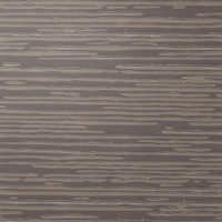 Draw the Line Shadow