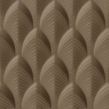 Dubai Dimension Wall Bronze