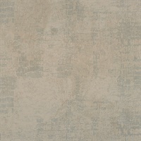 Dylan Arctic Monkeys