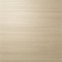 Easy Breezy Beige Silk Linen