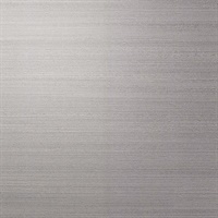 Easy Breezy Charcoal Silk Linen