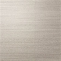 Easy Breezy Putty Silk Linen