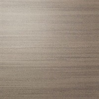 Easy Breezy Taupe Silk Linen