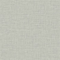 Easy Linen 54 Dove Grey
