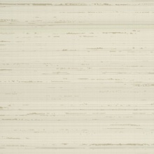 Echelon Silk Texture Chiffon