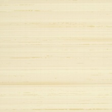 Echelon Silk Texture Cream