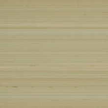 Echelon Silk Texture Latte