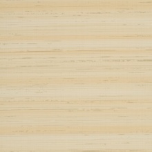 Echelon Silk Texture Salm On