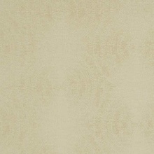 Eclipse Electric Light