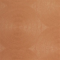 Eclipse Orange Crush