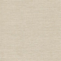 Elevation Carol Benson-Cobb Dune