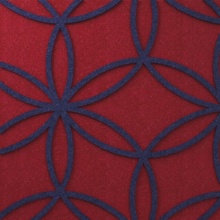 Ella Scarlet+Admiral