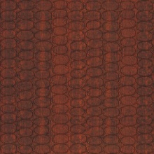 Elliptical Dimension Wall Walnut