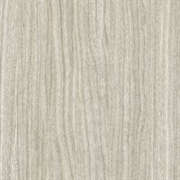 Elowen Wood Textured Winter Branch