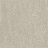 Enchanted Icy Greige