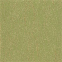 Enchanted Olive Branch