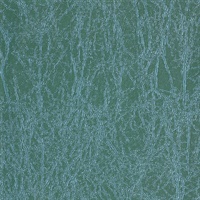 Enchanted Rainforest