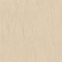 Enchanted Warm Bisque