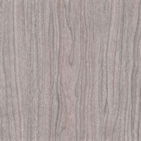 Englewood Silver Bark