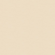 Fabric Matte Fabric 3