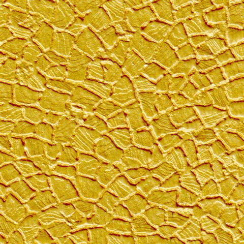 Firenze Tuscany Gold