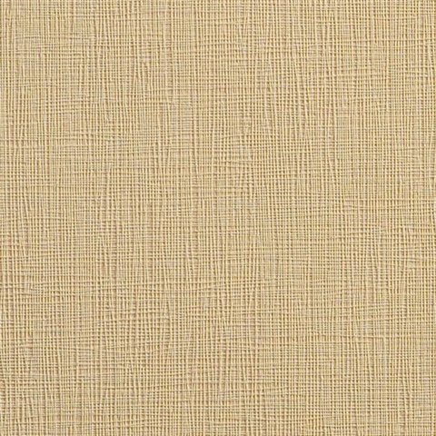 Flashy Flash Twinkle Tos