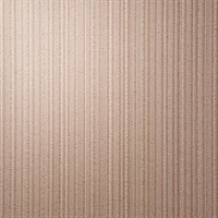 Flutter Ballet Slipper Vertical Stria