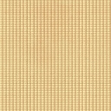 Fore Dimension Wall Maple