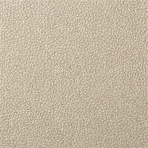 Forge Antimony Wall Protection