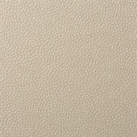 Forge Antimony Wall Protection