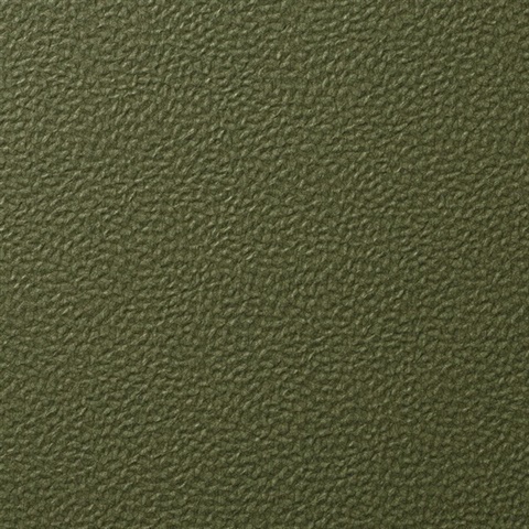 Forge Emerald Wall Protection