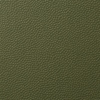 Forge Emerald Wall Protection