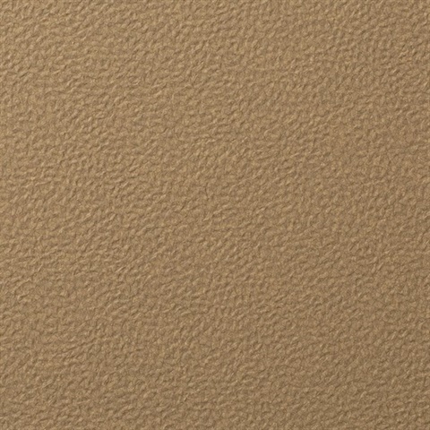 Forge Flint Wall Protection