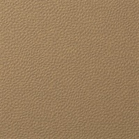 Forge Flint Wall Protection