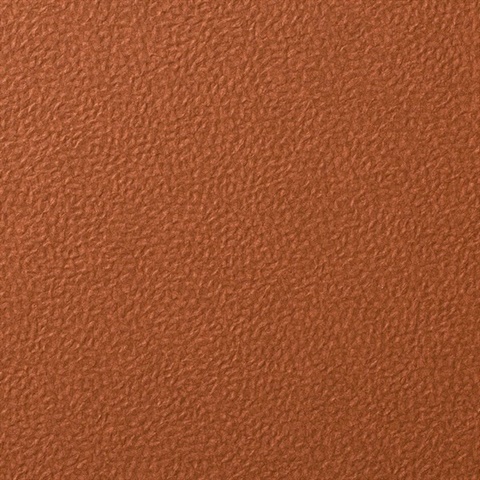 Forge Jasper Wall Protection