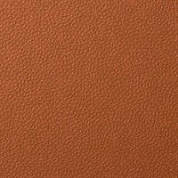 Forge Jasper Wall Protection