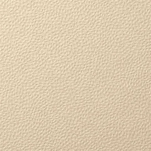 Forge Limestone Wall Protection